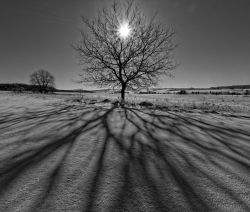 Gegenlicht