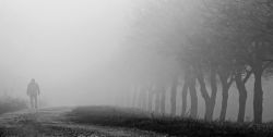 Verloren im Nebel