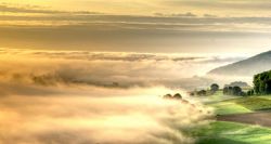 Morgenstimmung mit Nebel