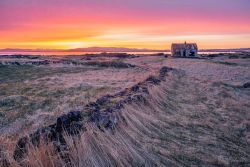 Pink Night near Reikjavik