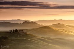 Tuscany Morning Glow