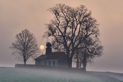 Misty Morning