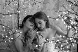 Fairy love