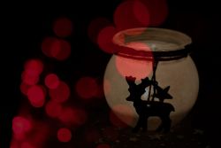 Es ist Weihnachtszeit