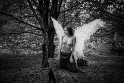 Angel in the dark forest