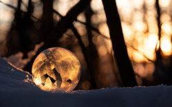 Seifenblase im Abendlicht