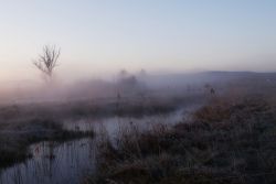 Nebeliger Morgen an der Altmühl